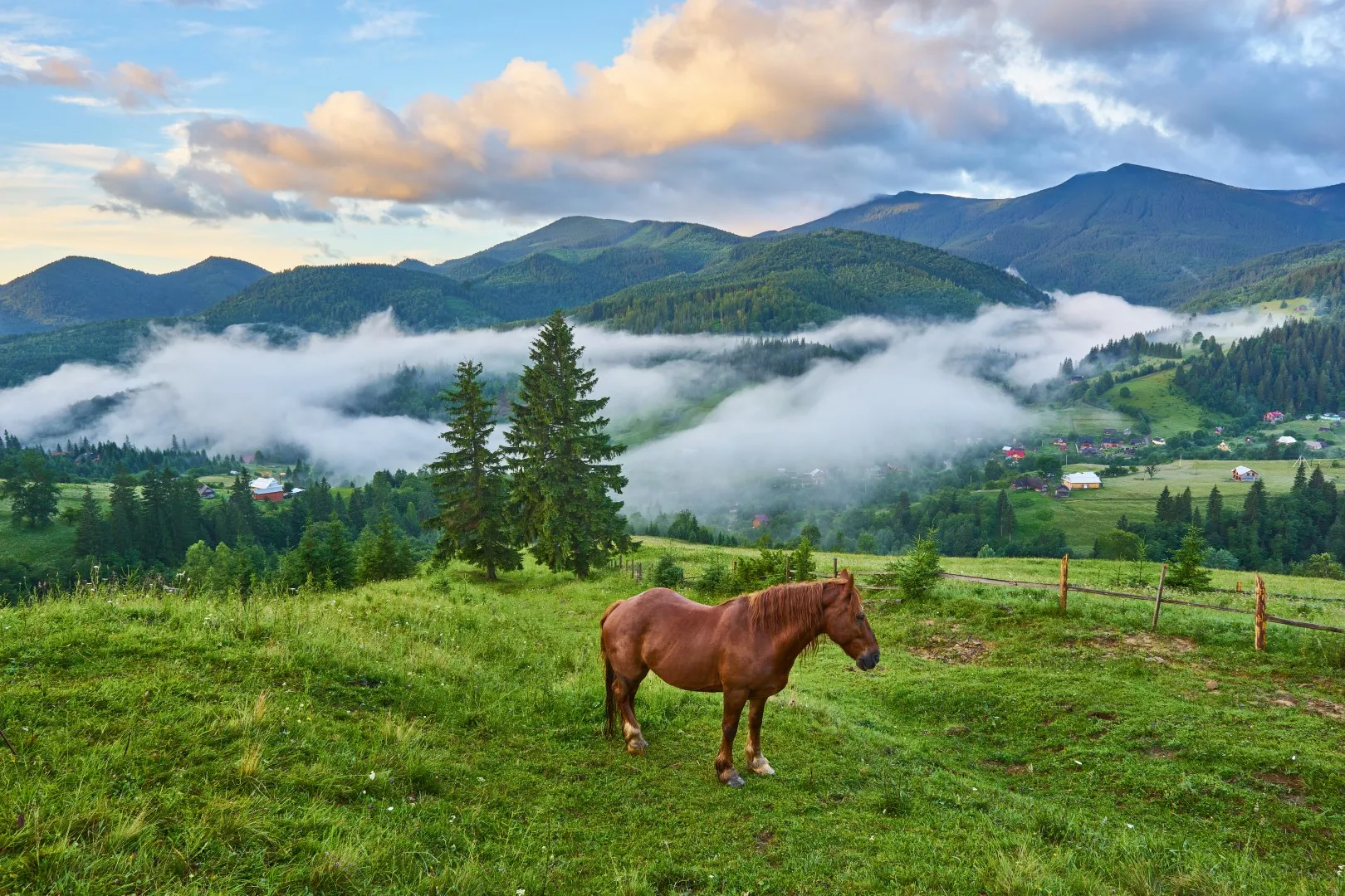 Bieszczady Gebirge - Lichtschutzgebiet Havena